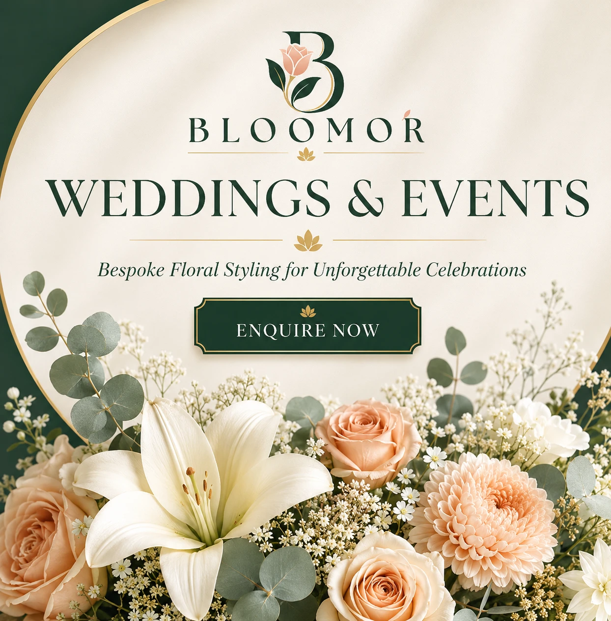Bloomor promo