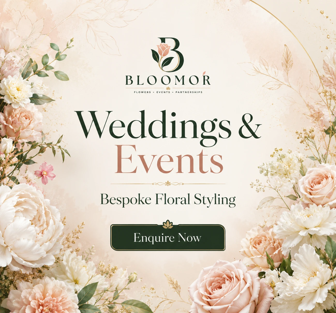 Bloomor promo