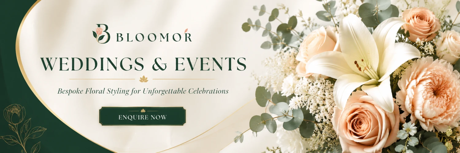 Bloomor promo